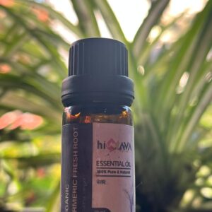 Organic Turmeric Fresh Root