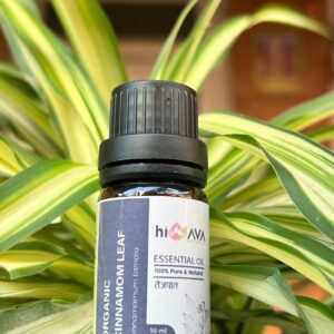 Organic Cinnamon leaf