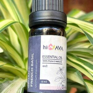 Organic French Basil