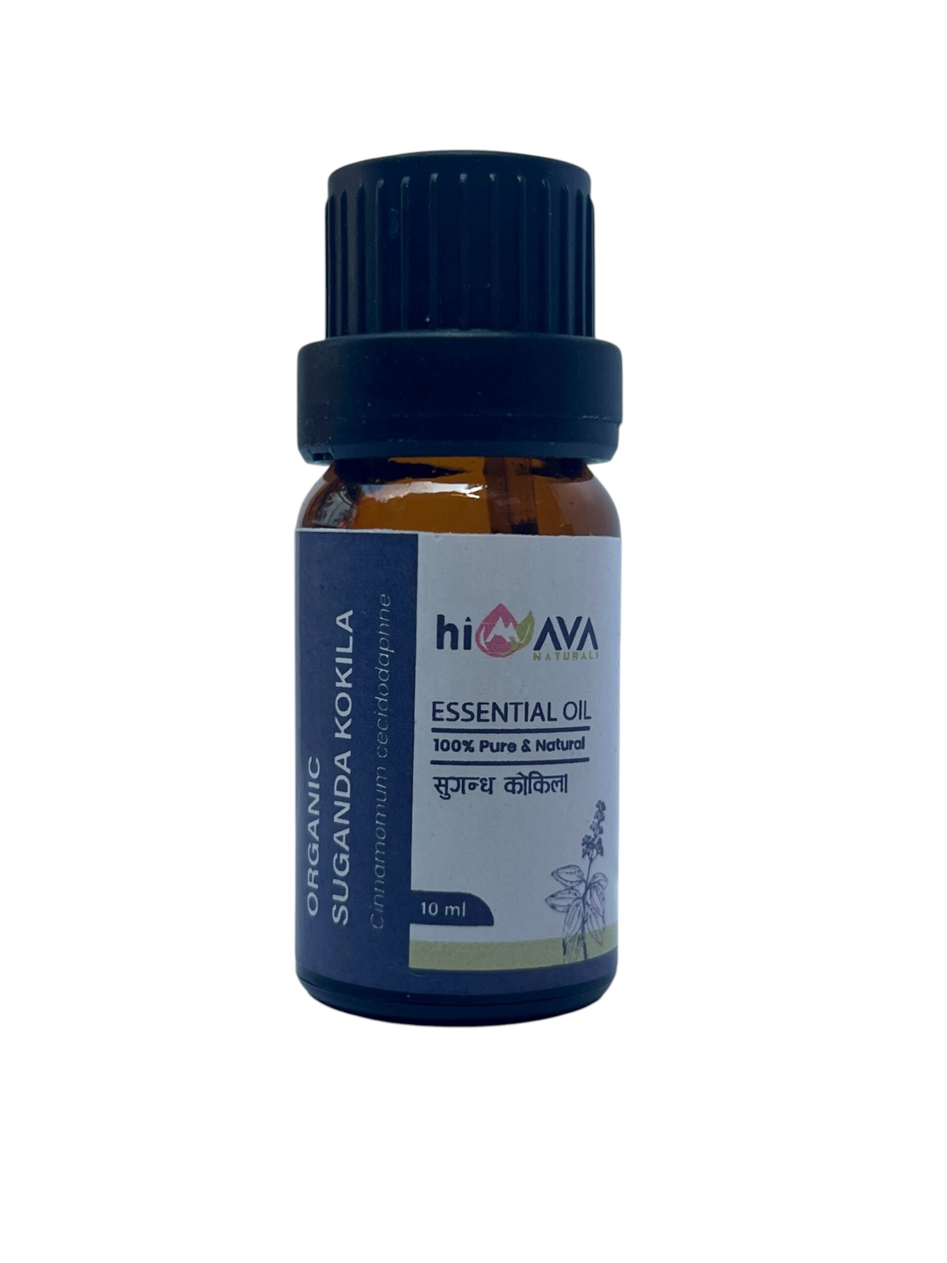 Organic Sugandha Kokila