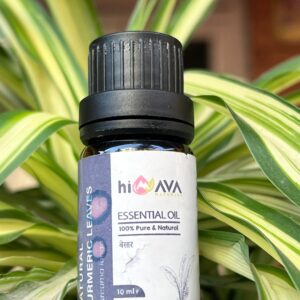 Organic Turmeric Leaves